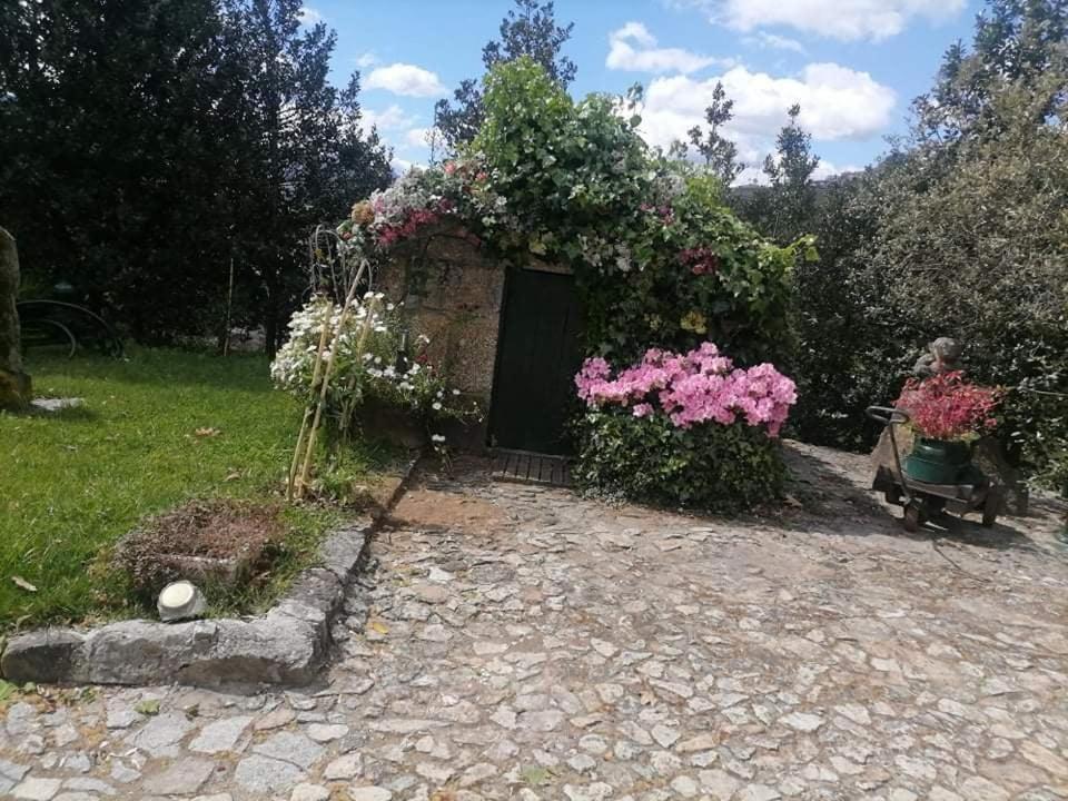 Quinta Da Cartida Villa Santa Marinha do Zêzere Exterior foto