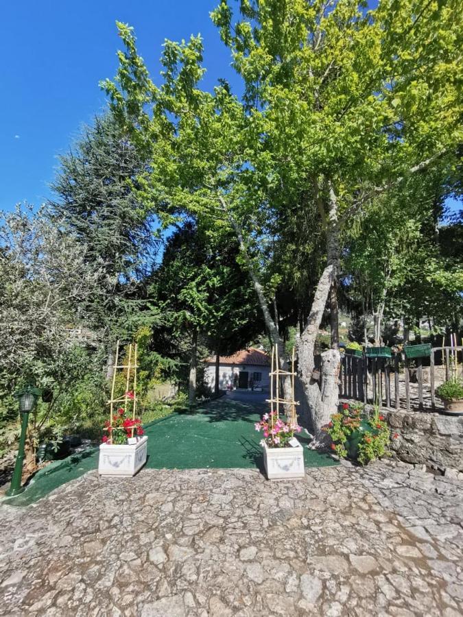 Quinta Da Cartida Villa Santa Marinha do Zêzere Exterior foto